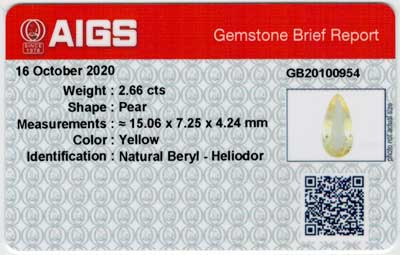 Gem Report