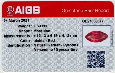Gem Report