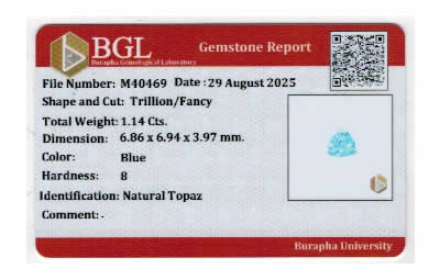 Gem Report