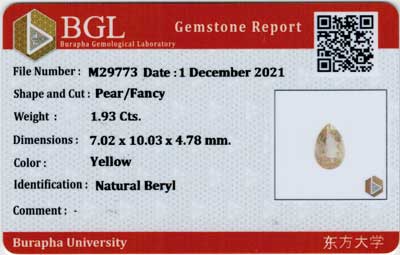 Gem Report