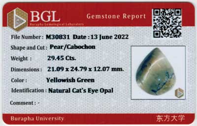 Gem Report