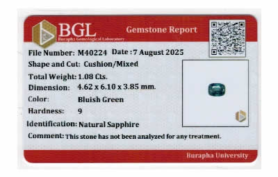 Gem Report