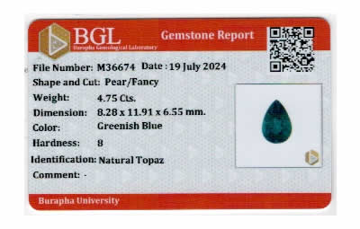 Gem Report