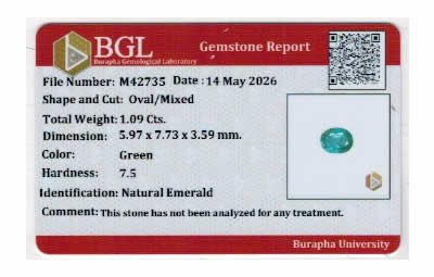 Gem Report