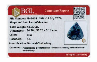 Gem Report