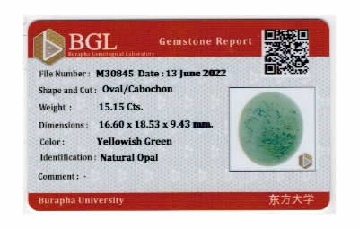 Gem Report