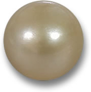 Perla de oro cultivada de agua salada
