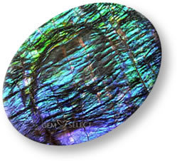 Piedra preciosa ammolita multicolor
