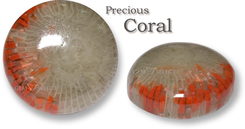 Compre piedras preciosas de coral para Tauro de GemSelect - Imagen grande