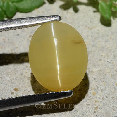 Cabujón de ópalo ojo de gato dorado de GemSelect