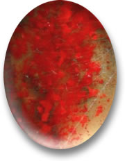 Cabujón de piedra de sangre de pollo