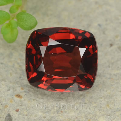 Piedra preciosa de espinela roja de talla cojín de 1 quilate
