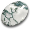 Ágata dendrítica multicolor Multicolor Dendritic Agate Cabochon