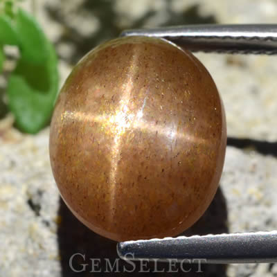 Cabujón de piedra solar estrella de 8 quilates
