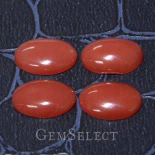 Red Coral