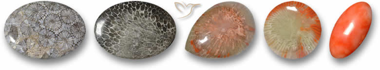 Piedras preciosas de coral