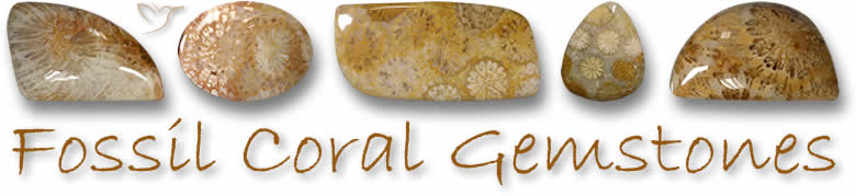Piedras preciosas de coral fósiles