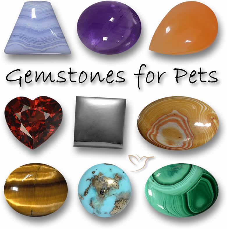 Piedras preciosas para mascotas