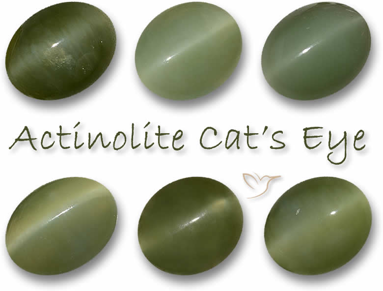Piedras preciosas de ojo de gato de actinolita verde