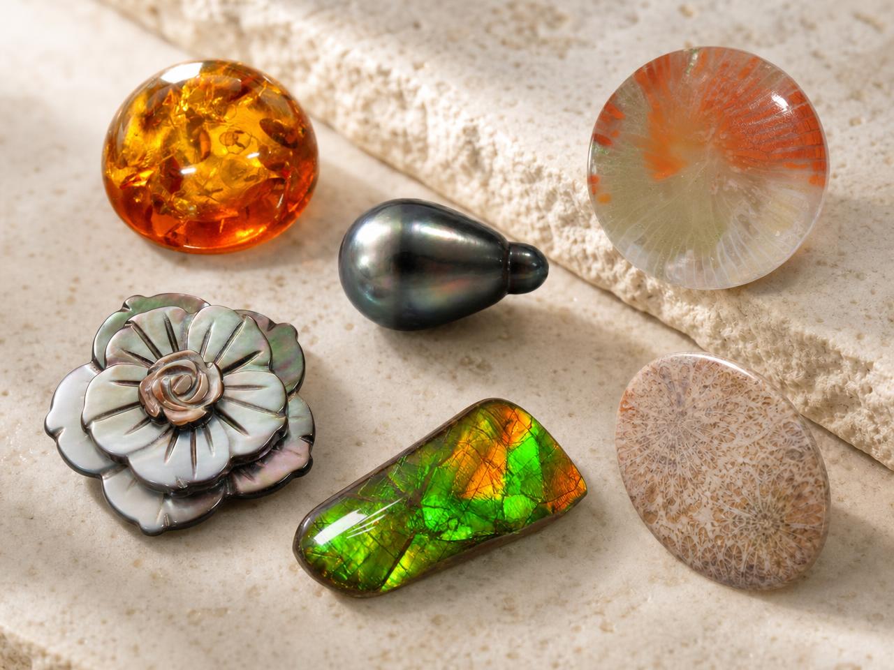 Surtido de piedras preciosas orgánicas que incluyen perlas, ámbar, coral y conchas.