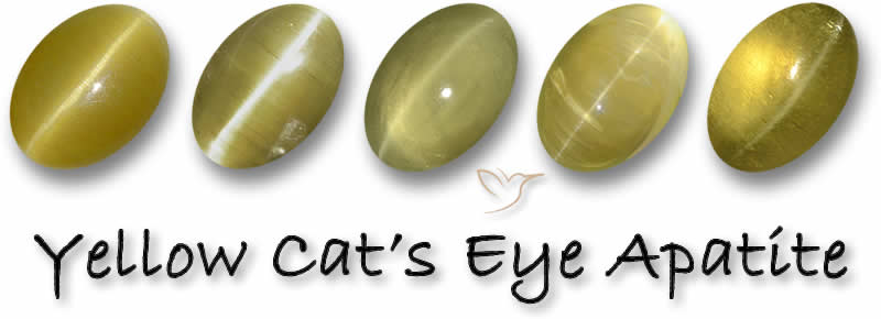 Comprar piedras preciosas de apatita ojo de gato amarilla