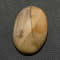 Comprar jaspe en GemSelect