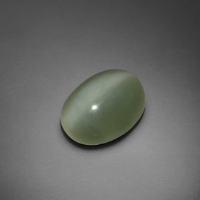 Actinolite cat's eye verde natural de 7,66 ct, corte óvalo, transparente