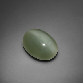 Actinolite cat's eye verde natural de 7,66 ct, corte óvalo, transparente