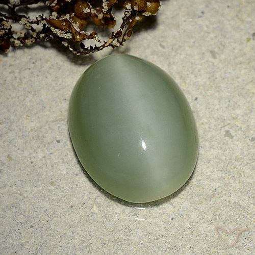 6.14ct Natural Verde terroso Ojo de Gato Actinolita, Ovalada, Translúcido