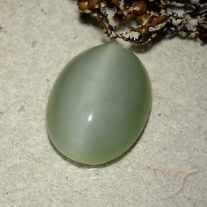 Ojo de Gato Actinolita Verde terroso natural de 6.14 ct, Ovalada, Translúcido