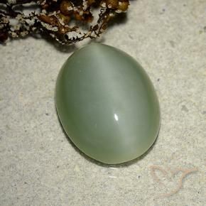 Ojo de Gato Actinolita Verde terroso natural de 6.14 ct, Ovalada, Translúcido