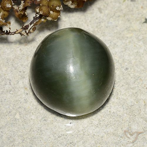 7.39ct Natural Verde terroso Ojo de Gato Actinolita, Redondo, Translúcido
