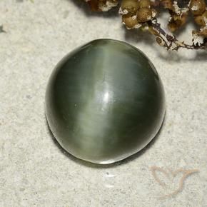 Ojo de Gato Actinolita Verde terroso natural de 7.39 ct, Redondo, Translúcido