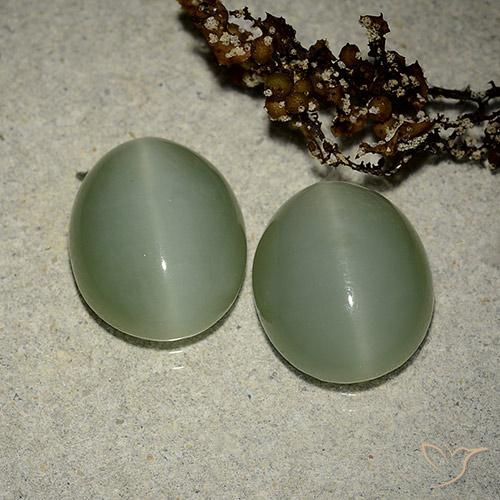 Gemas de actinolite cat's eye verde natural de 10,64 ct, corte óvalo, translúcido