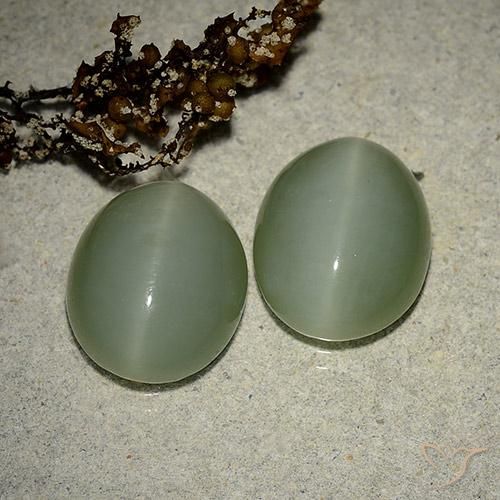 Gemas de actinolite cat's eye verde natural de 10,64 ct, corte óvalo, translúcido