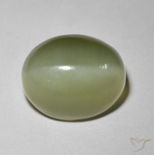 5.80ct Natural Verde terroso Ojo de Gato Actinolita, Ovalada, Translúcido