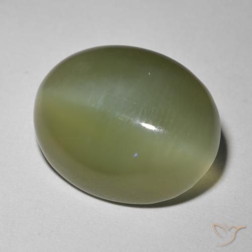 8.12ct Natural Verde oscuro Ojo de Gato Actinolita, Ovalada, Translúcido