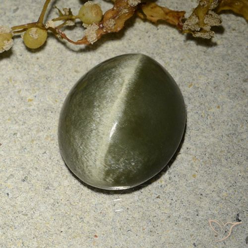 4.60ct Natural Verde marrón Ojo de Gato Actinolita, Ovalada, Opaco