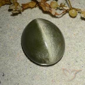 Ojo de Gato Actinolita Verde marrón natural de 4.60 ct, Ovalada, Opaco