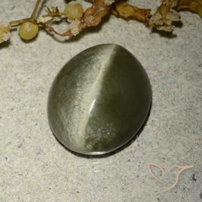 Ojo de Gato Actinolita Verde marrón natural de 4.60 ct, Ovalada, Opaco