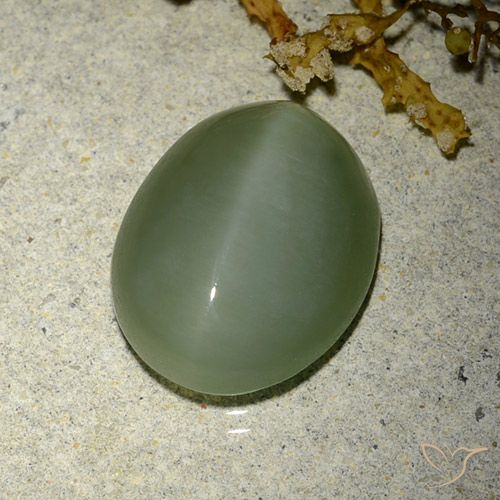 6.77ct Natural Verde claro medio Ojo de Gato Actinolita, Ovalada, Translúcido