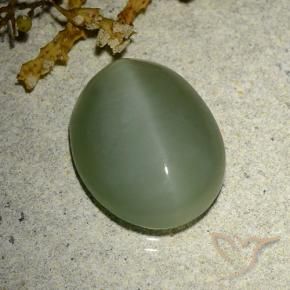Ojo de Gato Actinolita Verde claro medio natural de 6.77 ct, Ovalada, Translúcido
