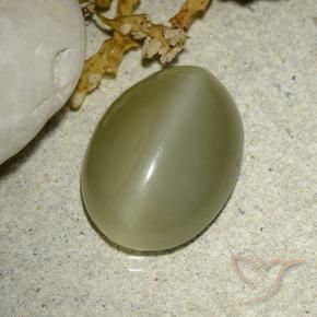 Ojo de Gato Actinolita Verde amarillento natural de 5.88 ct, Ovalada, Translúcido