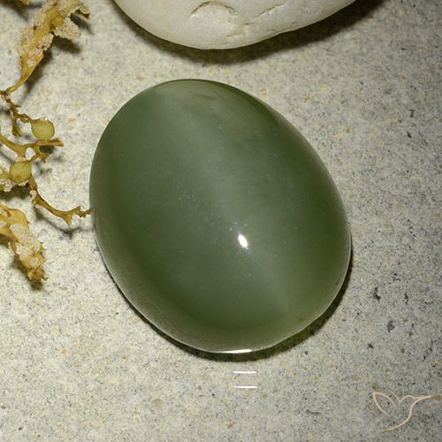 12.38ct Natural Verde militar Ojo de Gato Actinolita, Ovalada, Translúcido