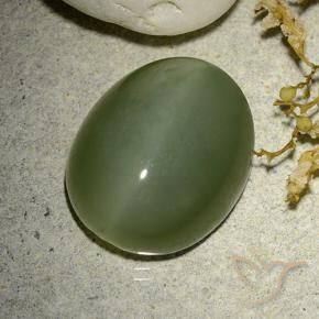 Ojo de Gato Actinolita Verde militar natural de 12.38 ct, Ovalada, Translúcido