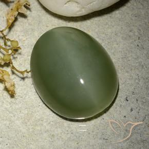 Ojo de Gato Actinolita Verde militar natural de 12.38 ct, Ovalada, Translúcido