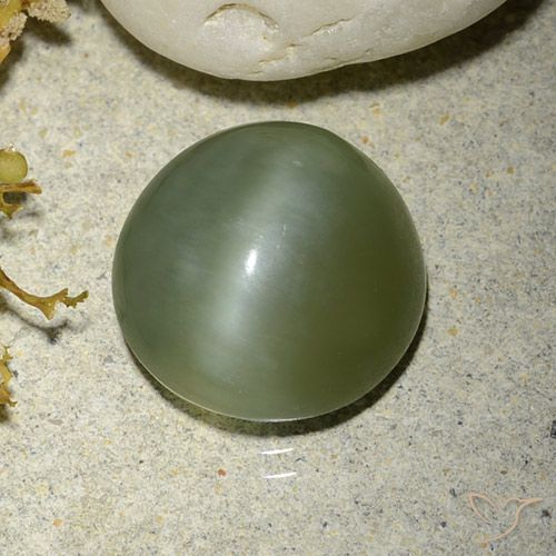 5.56ct Natural Verde cálido Ojo de Gato Actinolita, Redondo, Translúcido