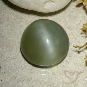 Ojo de Gato Actinolita Verde cálido natural de 5.56 ct, Redondo, Translúcido