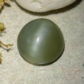 Ojo de Gato Actinolita Verde cálido natural de 5.56 ct, Redondo, Translúcido