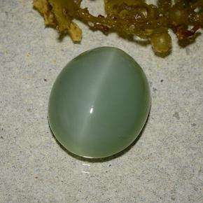 Ojo de gato actinolita verde natural de 6,19 ct, corte óvalo, translúcido